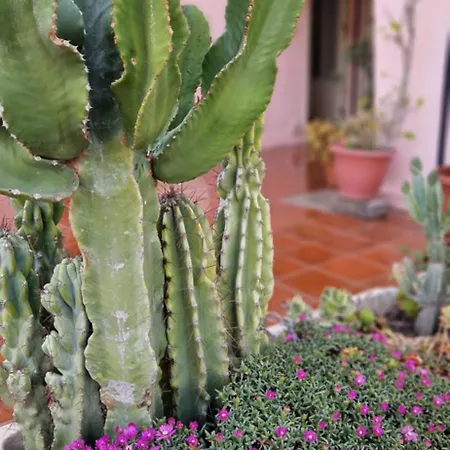 Casa Anna *